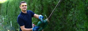 One of the gardening technicians trimming a hedge